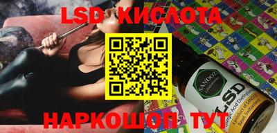 скорость Новозыбков