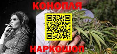 скорость Новозыбков