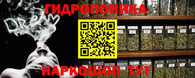 скорость Новозыбков
