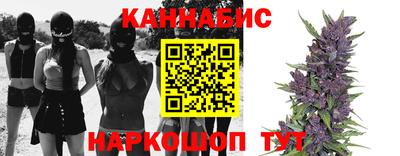скорость Новозыбков