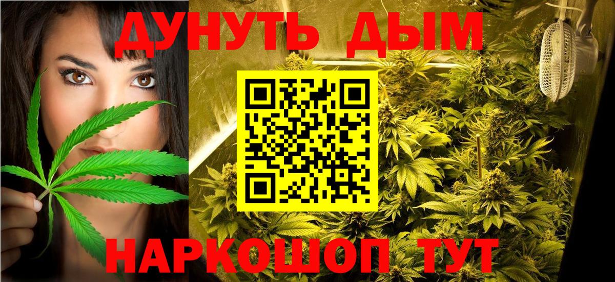 МАРИХУАНА сатива Фролово